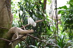 DSC_9059.JPG